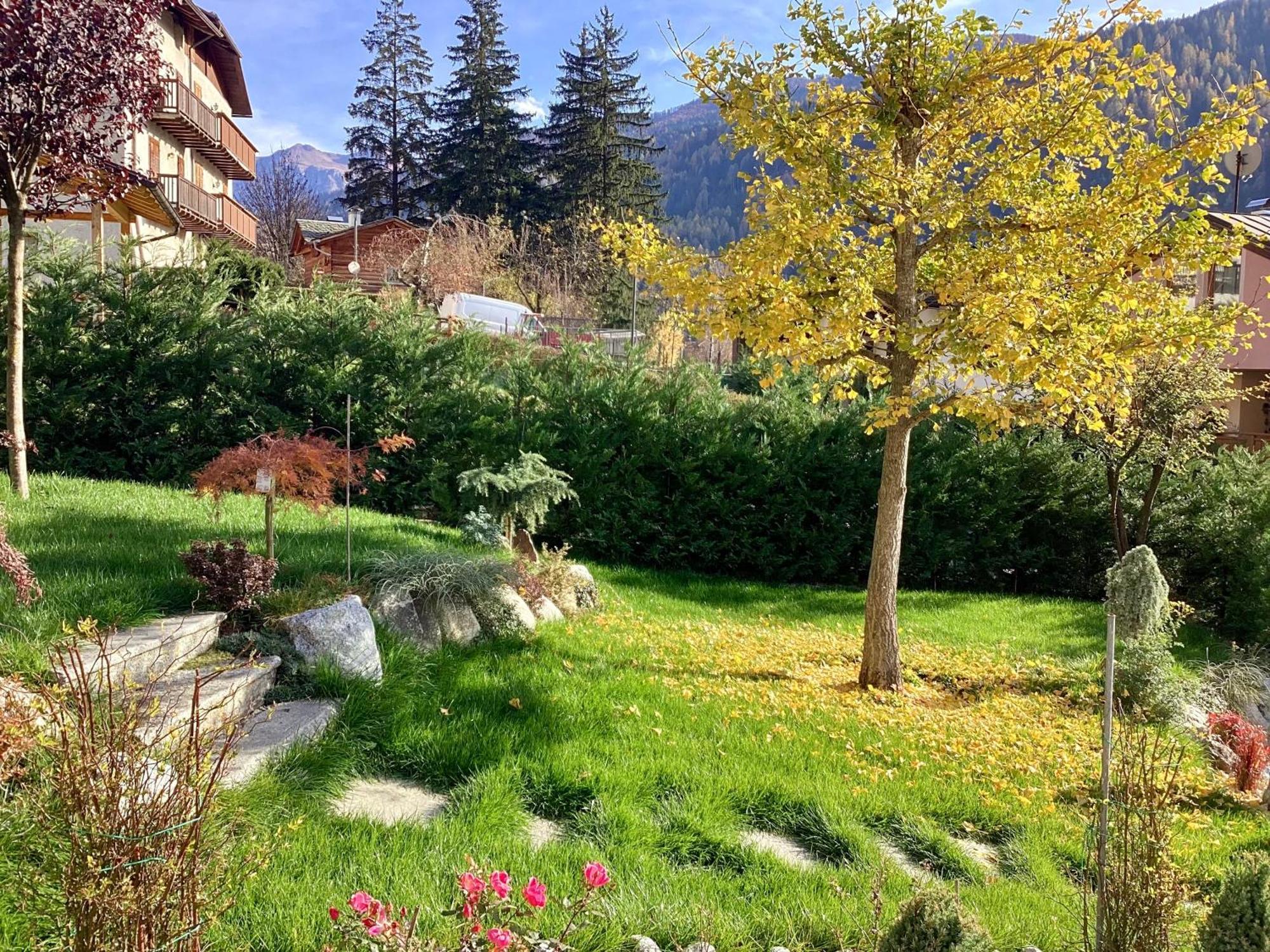 B&B Villa Paradiso Mezzana  Exterior photo